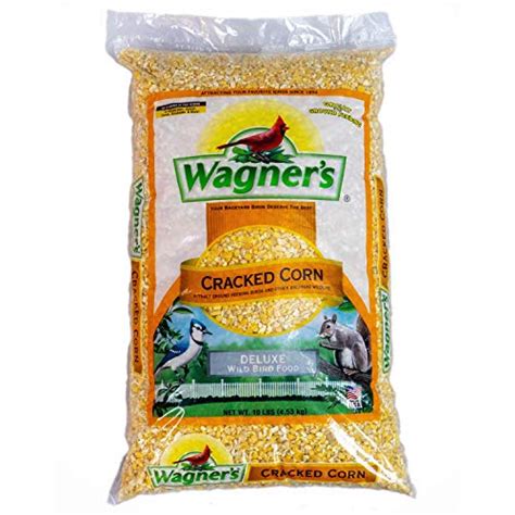 crack corn benefits|Benefits Of Cracked Corn For Chickens: Improved Digestion, Egg.